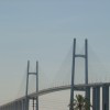 img-theme