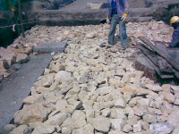 Cesar Augusto_Andrade