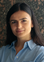 Pinar_Akdogan demir