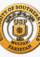 University of_Southern punjab