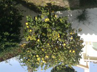 Caribbean Geotechnical Design Limited