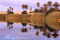 Libyan Geotechnical Society (LGS)
