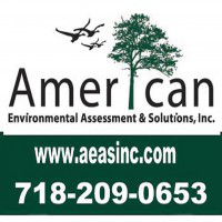American Environmental Assessment & Solutions, Inc